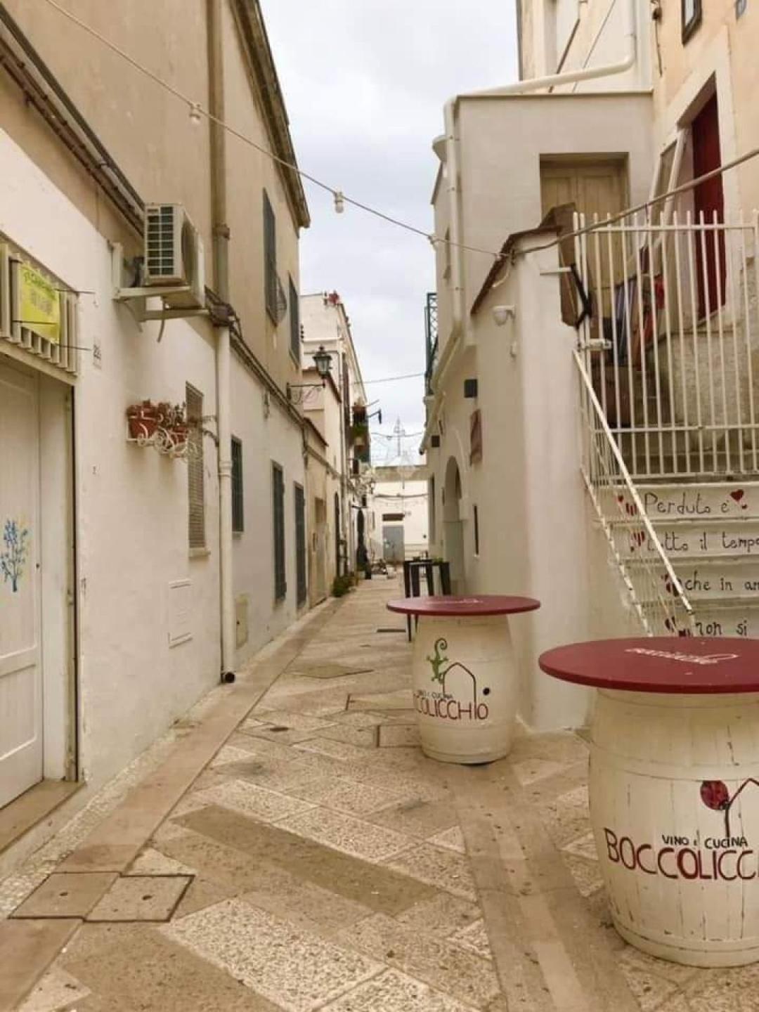 La Rupe E Il Giardino *