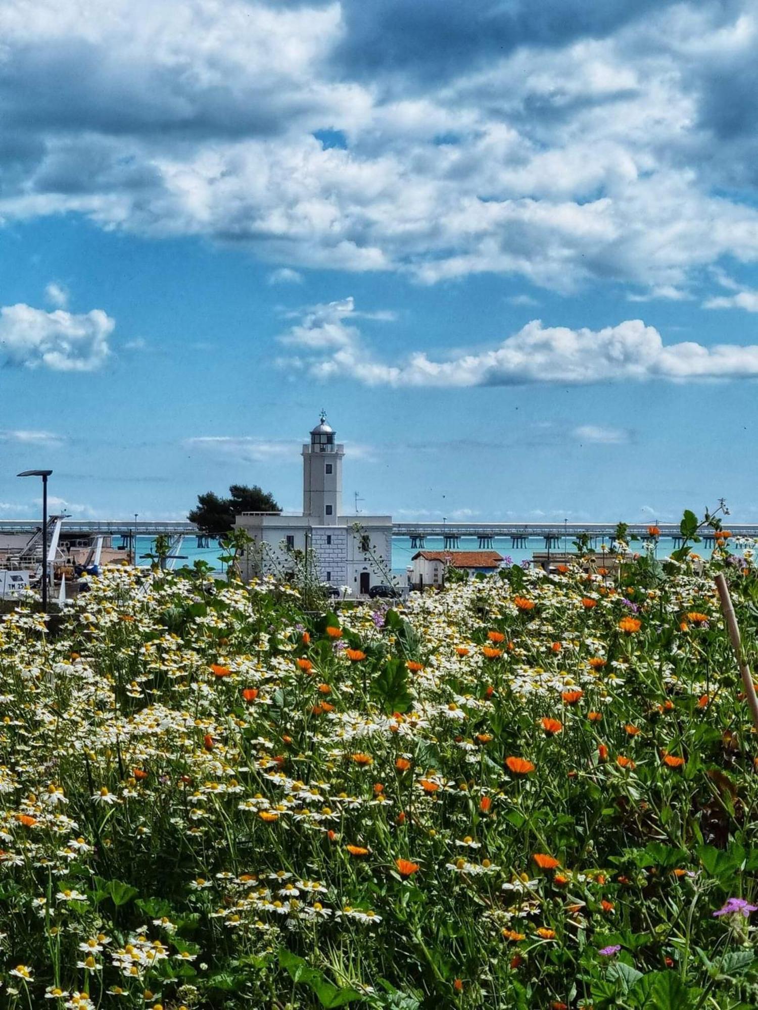 La Rupe E Il Giardino