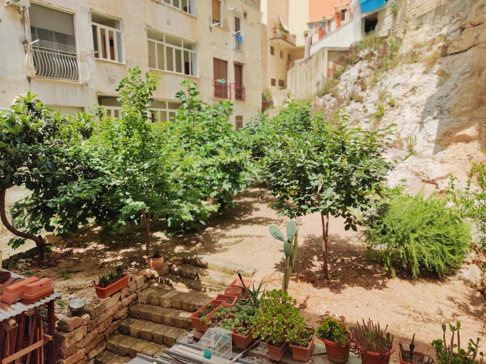 La Rupe E Il Giardino *