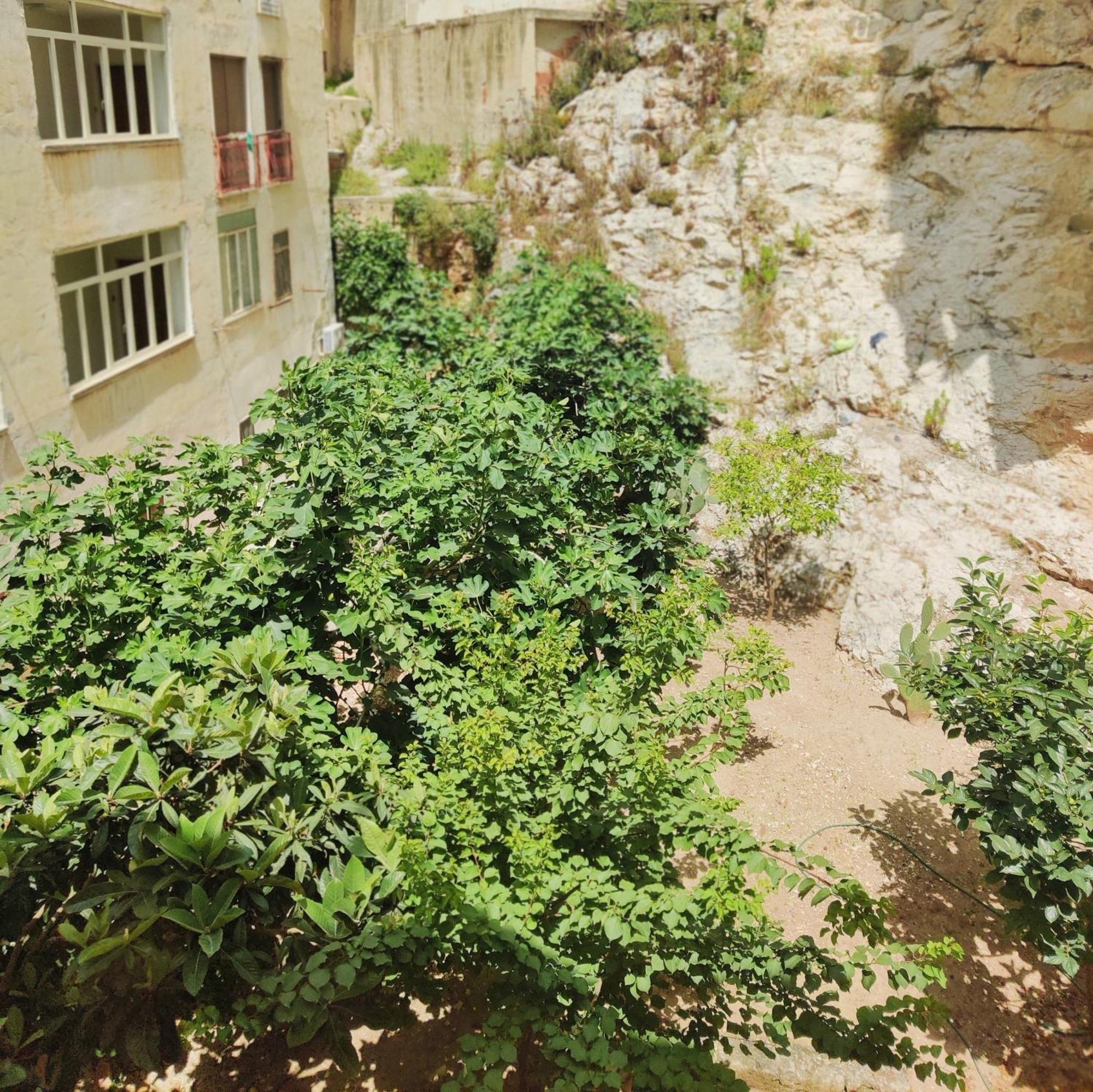 La Rupe E Il Giardino * Manfredonia